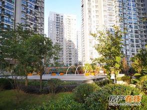 兴丽城11号楼最新爆料,揭秘神秘装修细节与未来居住亮点  第1张