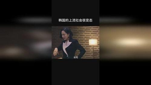 免费上流社会在线观看,在线观看的奢华盛宴 第1张 免费上流社会在线观看,在线观看的奢华盛宴 第1张